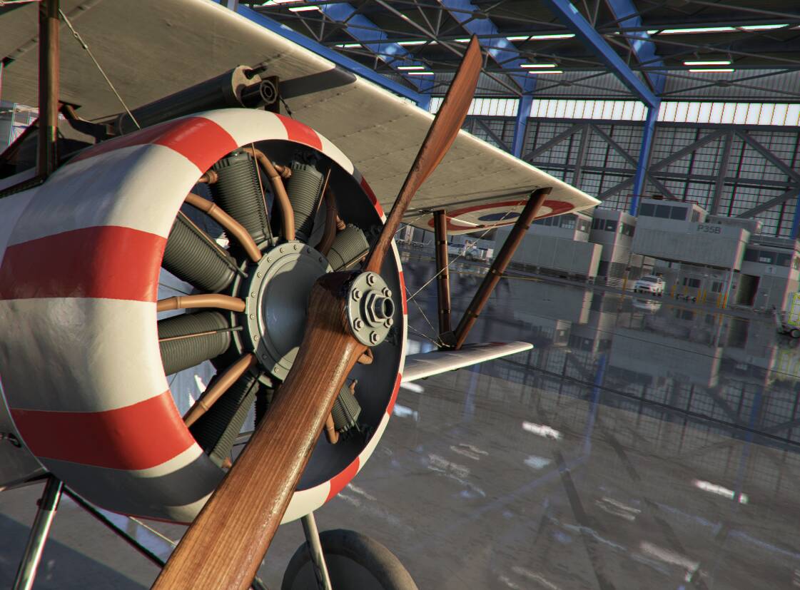 Big Radials Nieuport 17